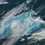Perché l’iceberg a-23a si sta tingendo di blu e rischia di sparire? %perché l’iceberg a-23a si sta tingendo di blu e rischia di sparire? Count(title)% Perché l’iceberg a-23a si sta tingendo di blu e rischia di sparire?