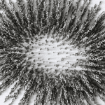 Scoperto il meccanismo fisico che spiega come i campi magnetici rallentano il carbonio nell’acciaio %scoperto il meccanismo fisico che spiega come i campi magnetici rallentano il carbonio nell’acciaiocount(title)% Scoperto il meccanismo fisico che spiega come i campi magnetici rallentano il carbonio nell’acciaio