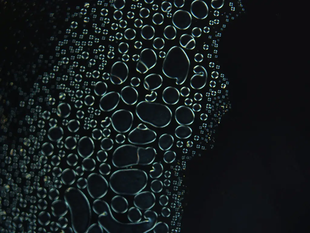 L’intelligenza artificiale accelera lo studio dei difetti topologici nei cristalli liquidi