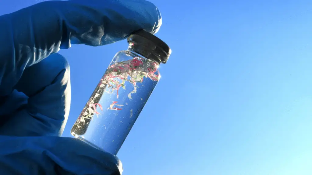 Le microplastiche stanno compromettendo la capacità degli oceani di assorbire co₂