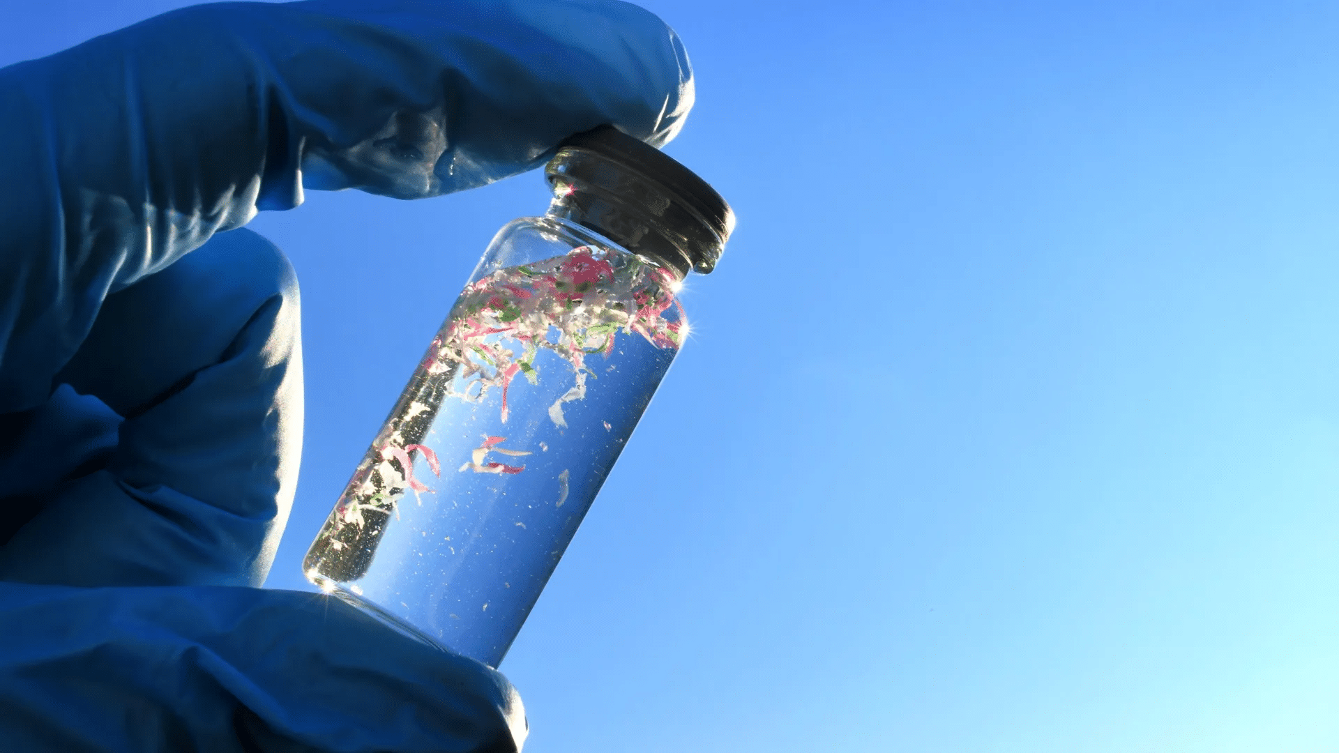 Microplastiche