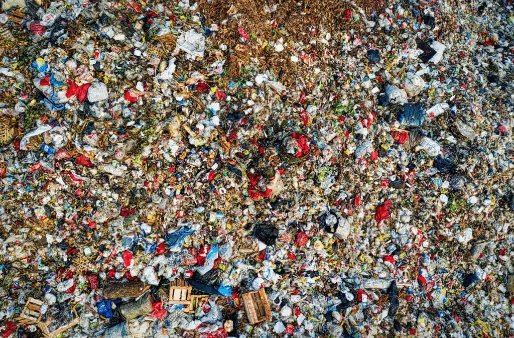 Le microplastiche stanno compromettendo la capacità degli oceani di assorbire co₂