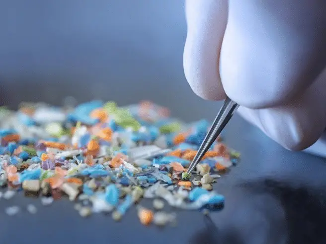 Le microplastiche stanno compromettendo la capacità degli oceani di assorbire co₂