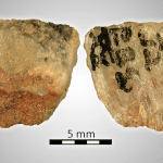 Sudafrica: scoperto il più antico veleno per frecce della storia (60. 000 anni fa)