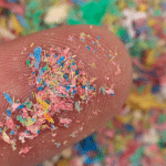 Microplastiche anche in antartide: trovate nell’unico insetto nativo del continente