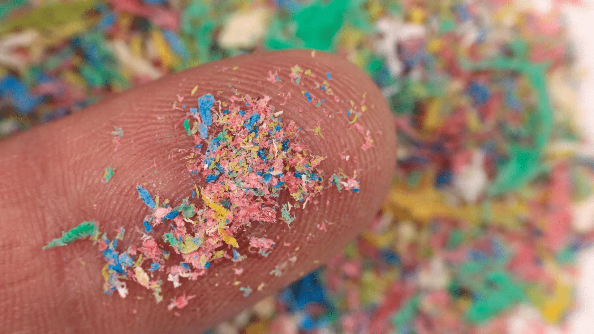 Microplastiche