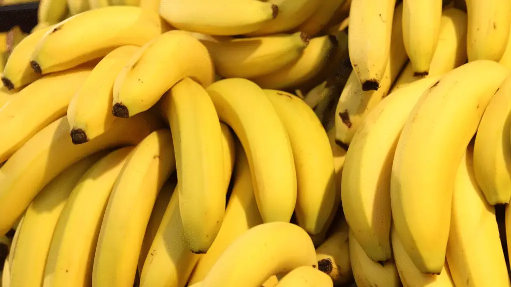 Disastro di mariana: banane contaminate e rischio per i bambini secondo un nuovo studio brasiliano