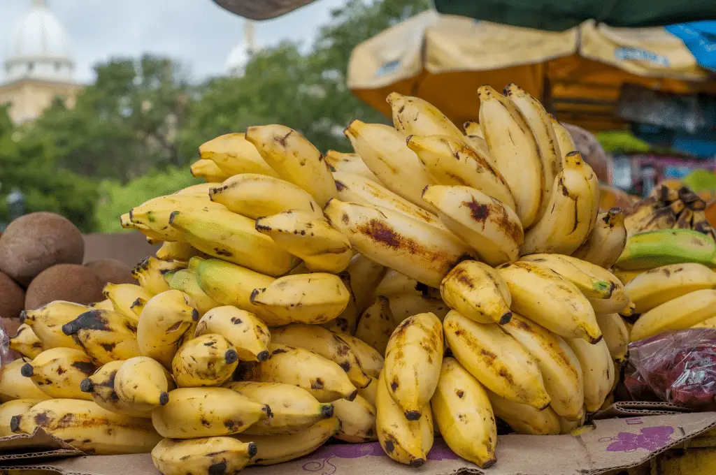 Disastro di mariana: banane contaminate e rischio per i bambini secondo un nuovo studio brasiliano