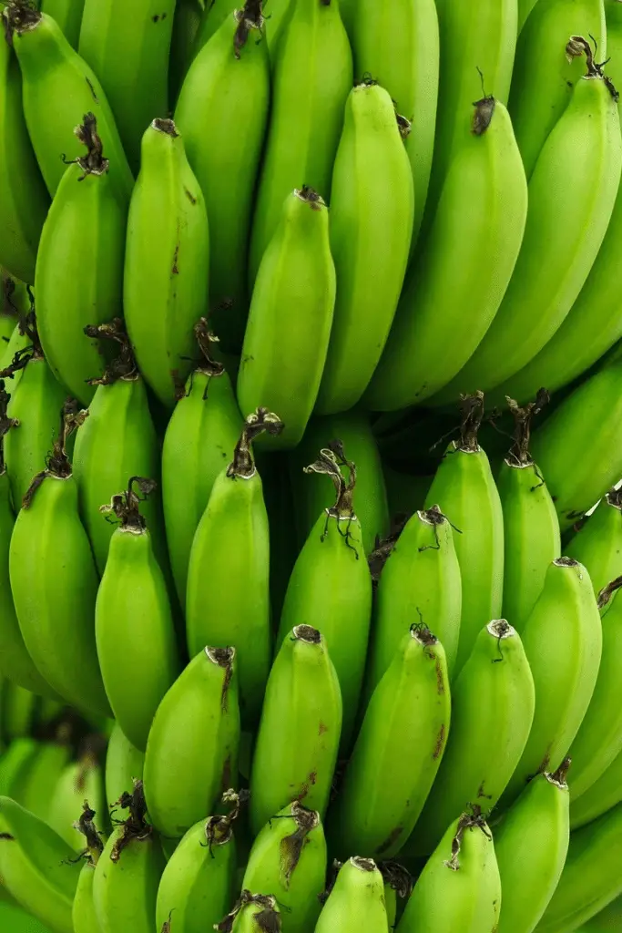 Disastro di mariana: banane contaminate e rischio per i bambini secondo un nuovo studio brasiliano