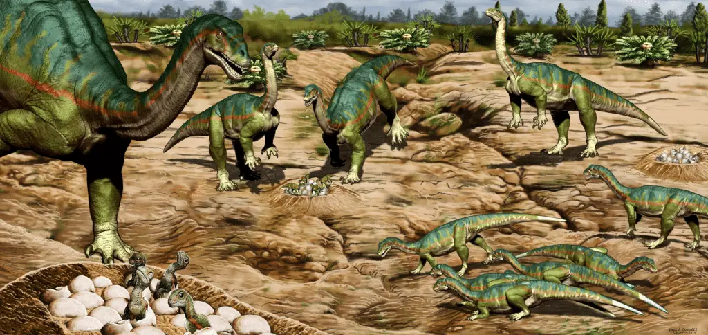 Scoperto in spagna uno dei dinosauri erbivori più piccoli mai conosciuti: ecco foskeia pelendonum