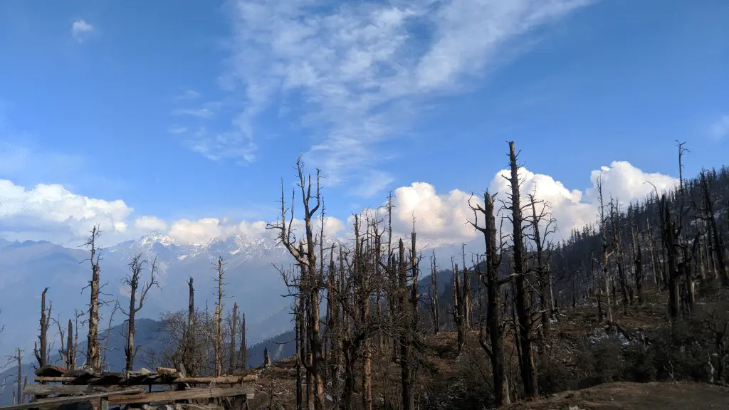 Vivere in alta quota riduce il rischio di diabete? La risposta è nei globuli rossi