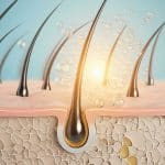 Follicoli piliferi in laboratorio: la svolta giapponese contro calvizie e alopecia