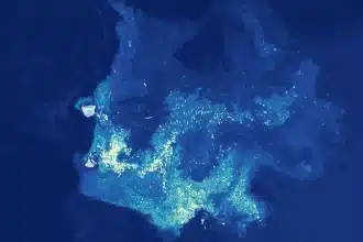Iceberg