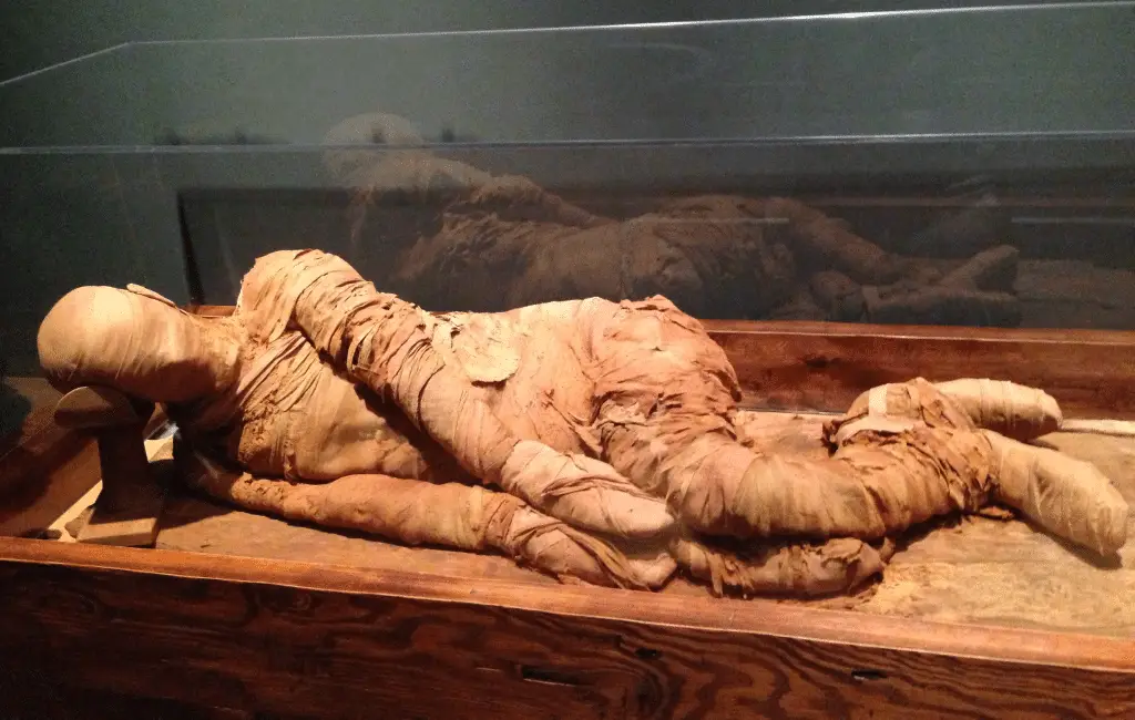 Il “profumo” delle mummie rivela nuovi segreti sull’antico egitto %il “profumo” delle mummie rivela nuovi segreti sull’antico egittocount(title)% Il “profumo” delle mummie rivela nuovi segreti sull’antico egitto
