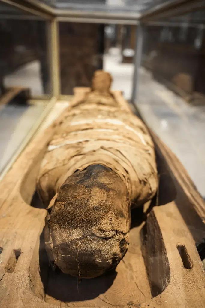 Il “profumo” delle mummie rivela nuovi segreti sull’antico egitto %il “profumo” delle mummie rivela nuovi segreti sull’antico egittocount(title)% Il “profumo” delle mummie rivela nuovi segreti sull’antico egitto