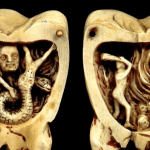 Il “verme dei denti”: perché per millenni abbiamo creduto a una creatura che non può esistere [animali impossibili]