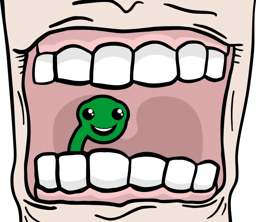 Il “verme dei denti”: perché per millenni abbiamo creduto a una creatura che non può esistere [animali impossibili]