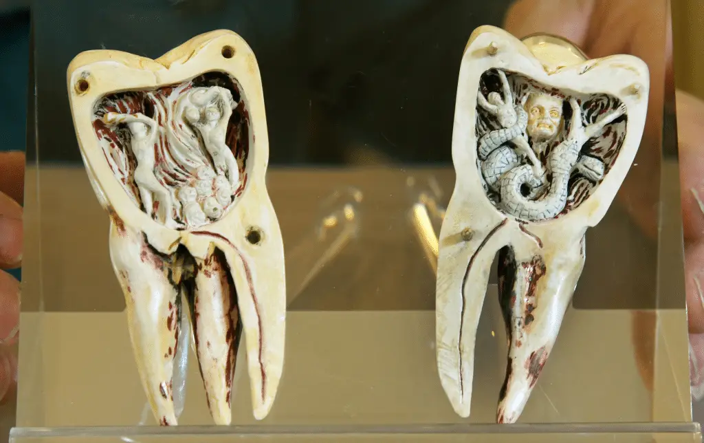 Il “verme dei denti”: perché per millenni abbiamo creduto a una creatura che non può esistere [animali impossibili]