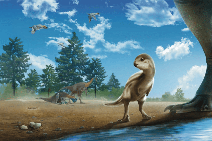 Doolysaurus