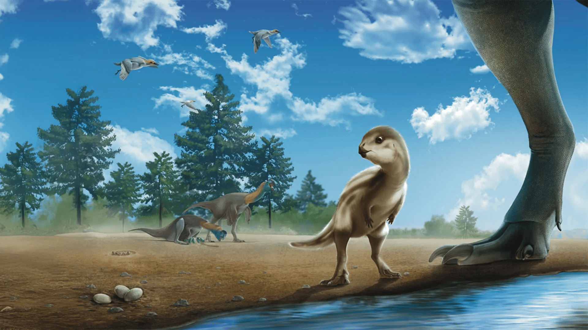 Doolysaurus