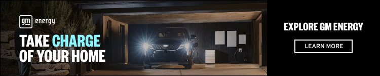 Byd supera tesla nello storage energetico globale