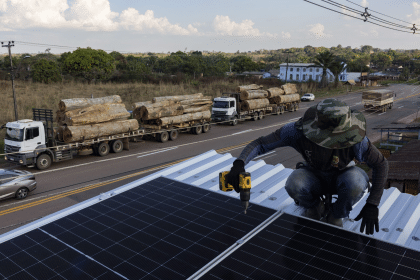 Deforestazione