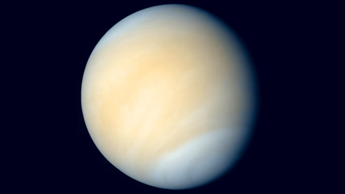 Esopianeti tipo venere più comuni delle exoterre?