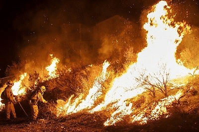 Trump taglia la ricerca forestale usa: paura per clima e incendi