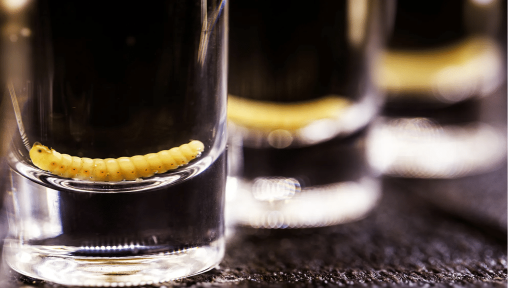 Mezcal