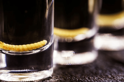 Mezcal