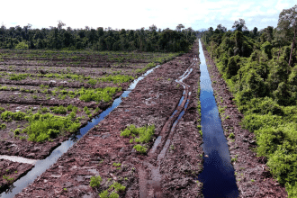 April e fsc: la carta sostenibile è sotto esame