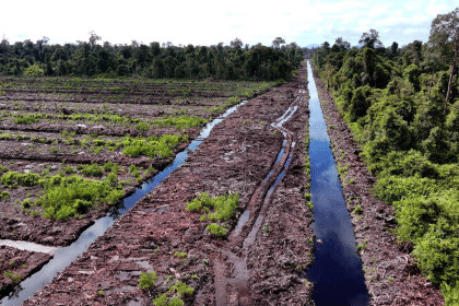 April e fsc: la carta sostenibile è sotto esame