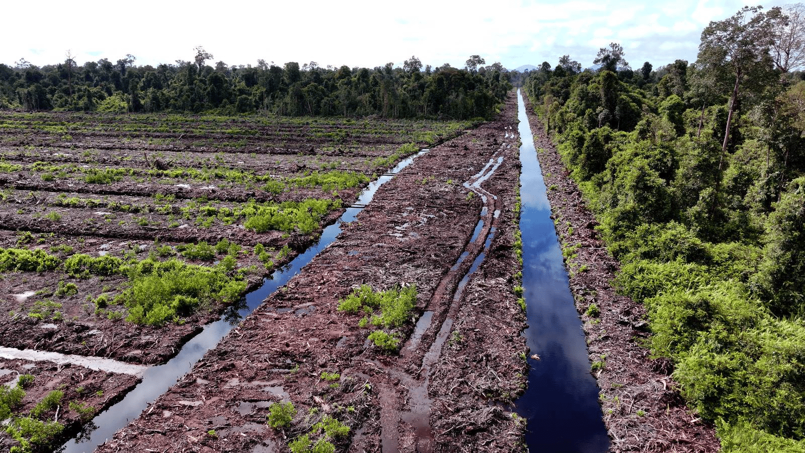 April e fsc: la carta sostenibile è sotto esame