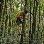 Reintroduzione tigri in cambogia: rischio o svolta? %reintroduzione tigri in cambogia: rischio o svolta? Count(title)% Reintroduzione tigri in cambogia: rischio o svolta?