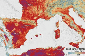 Caldo in europa: suolo a 50 gradi e 18 bollini rossi