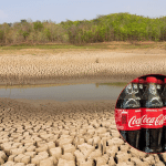 Coca-cola e siccità in colombia: la comunità ottiene limiti all'acqua
