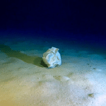 Fossa calypso invasa dai rifiuti: cosa succede a 5. 112 metri?