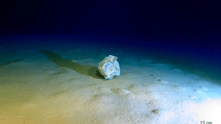 Fossa calypso: perché i rifiuti a 5. 112 metri contano