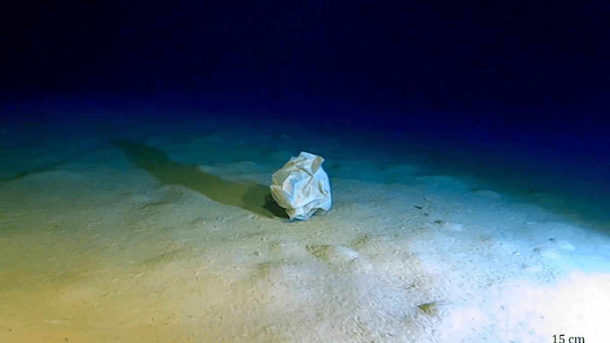 Fossa calypso: perché i rifiuti a 5. 112 metri contano