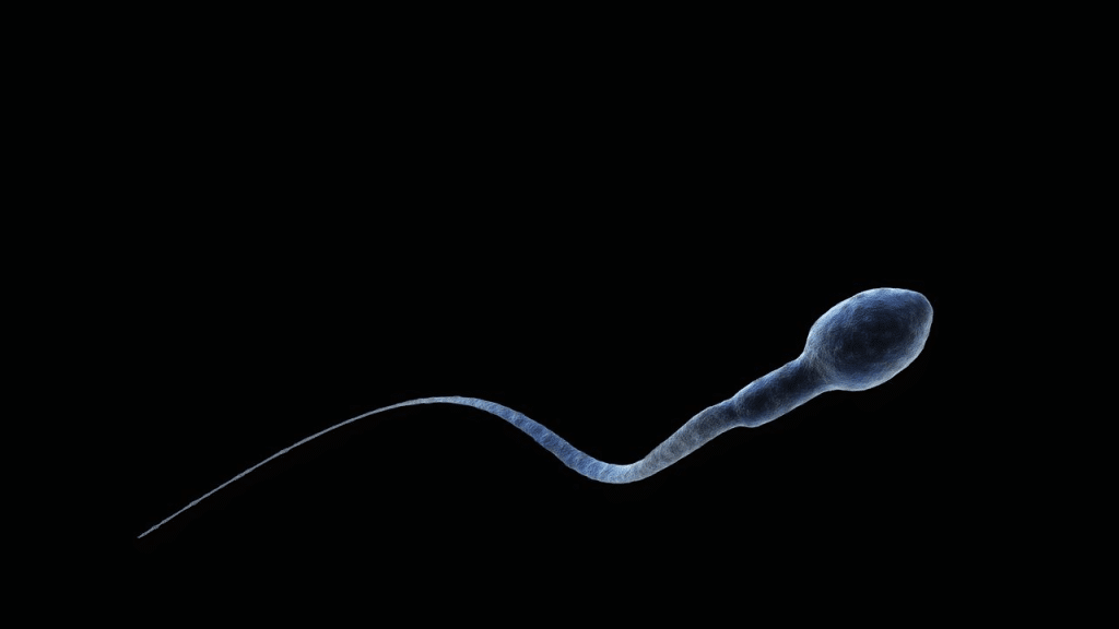 Glp-1 e fertilità maschile: cosa dicono i nuovi dati %glp-1 e fertilità maschile: cosa dicono i nuovi daticount(title)% Glp-1 e fertilità maschile: cosa dicono i nuovi dati
