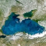 Acidificazione degli oceani: gli esperimenti rapidi esagerano gli effetti? %acidificazione degli oceani: gli esperimenti rapidi esagerano gli effetti? Count(title)% Acidificazione degli oceani: gli esperimenti rapidi esagerano gli effetti?