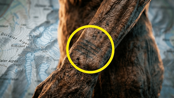 Mummia ötzi: lieviti vivi dopo 5300 anni nel ghiaccio