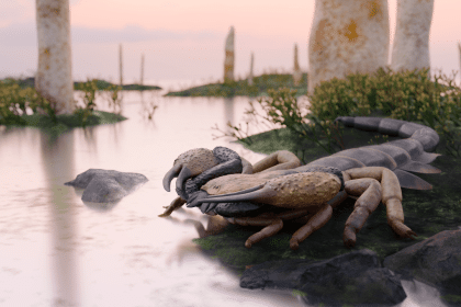 Praearcturus gigas, lo scorpione gigante del devoniano
