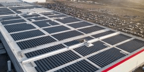 Tesla fsd v14 lite arriva sulle auto hw3: cosa cambia