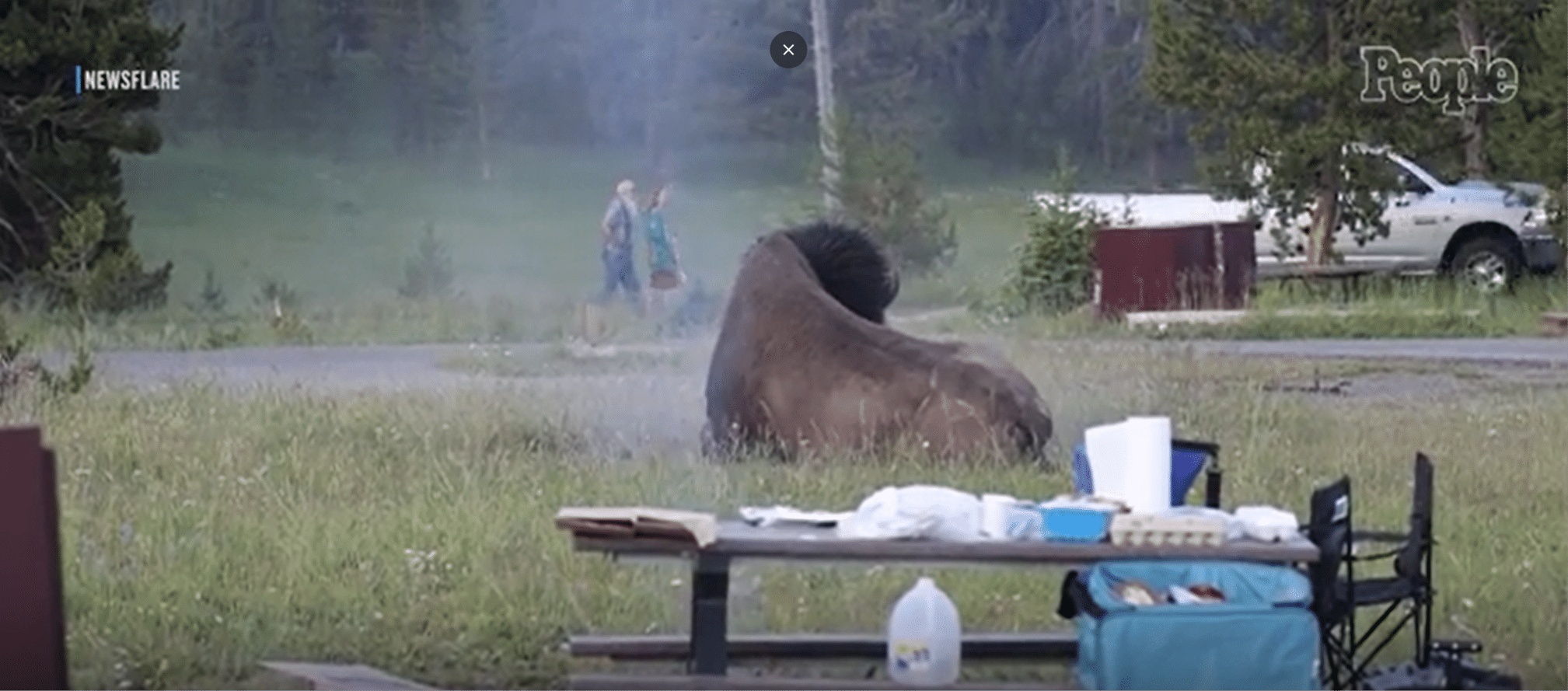 Bisonte carica un uomo a yellowstone e lo scaraventa in aria %bisonte carica un uomo a yellowstone e lo scaraventa in ariacount(title)% Bisonte carica un uomo a yellowstone, l'animale reagisce in modo feroce (video)