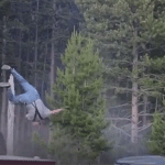Bisonte carica un uomo a yellowstone e lo scaraventa in aria