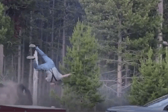 Bisonte carica un uomo a yellowstone, l'animale reagisce in modo feroce (video)