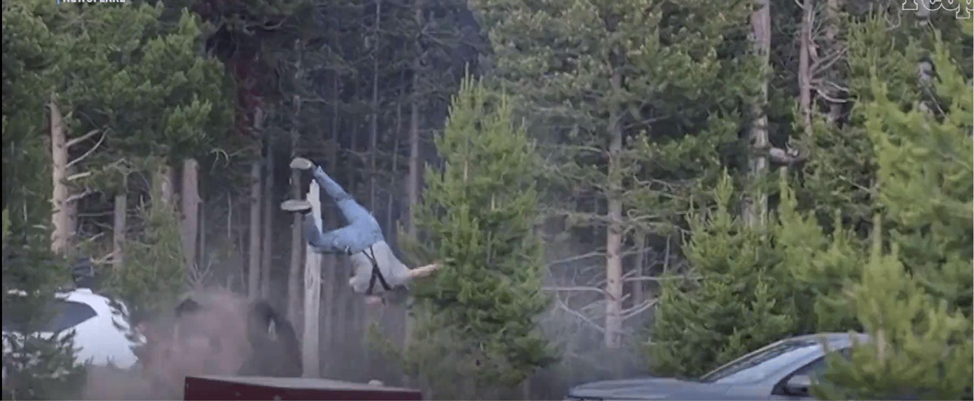 Bisonte carica un uomo a yellowstone e lo scaraventa in aria %bisonte carica un uomo a yellowstone e lo scaraventa in ariacount(title)% Bisonte carica un uomo a yellowstone, l'animale reagisce in modo feroce (video)