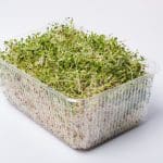 Efsa lega la salmonella ai germogli, ma il rischio cala %efsa lega la salmonella ai germogli, ma il rischio calacount(title)% Efsa lega la salmonella ai germogli, ma il rischio cala