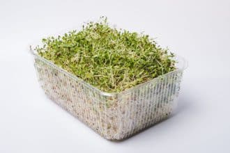 Germogli di erba medica associati a controlli per rischio salmonella negli alimenti